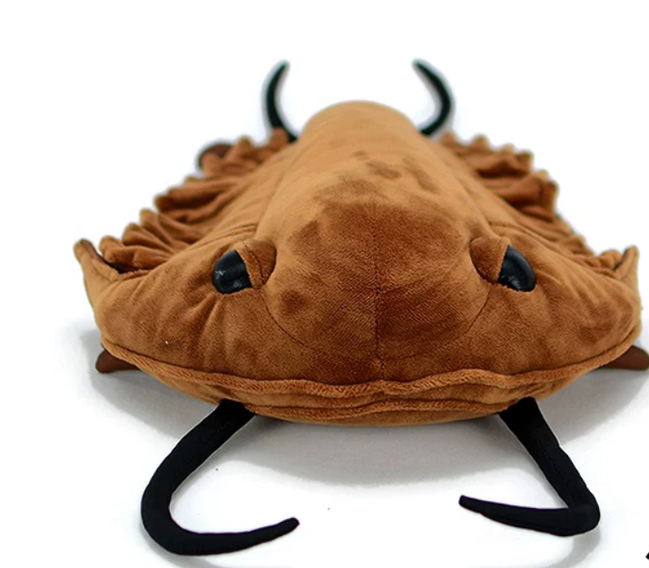 Original Design Paleontology Series Realistic Redlichia Trilobite Plush Toy
